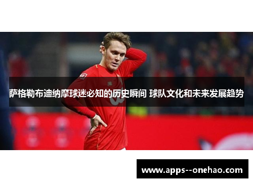 萨格勒布迪纳摩球迷必知的历史瞬间 球队文化和未来发展趋势