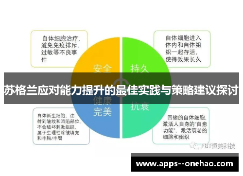 苏格兰应对能力提升的最佳实践与策略建议探讨